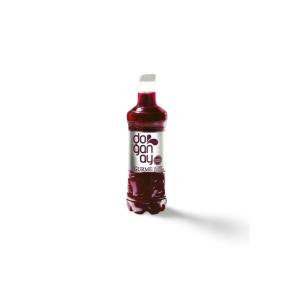 Şalgam Suyu Acısız (300 ml) | 50,00